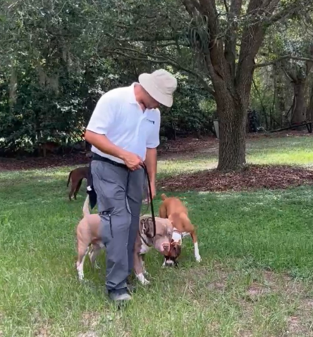 Obedience class fosters community and consistency