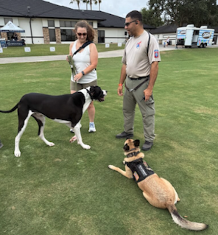 Public access practice in a busy space