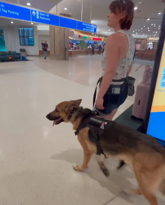 Support and assistance work